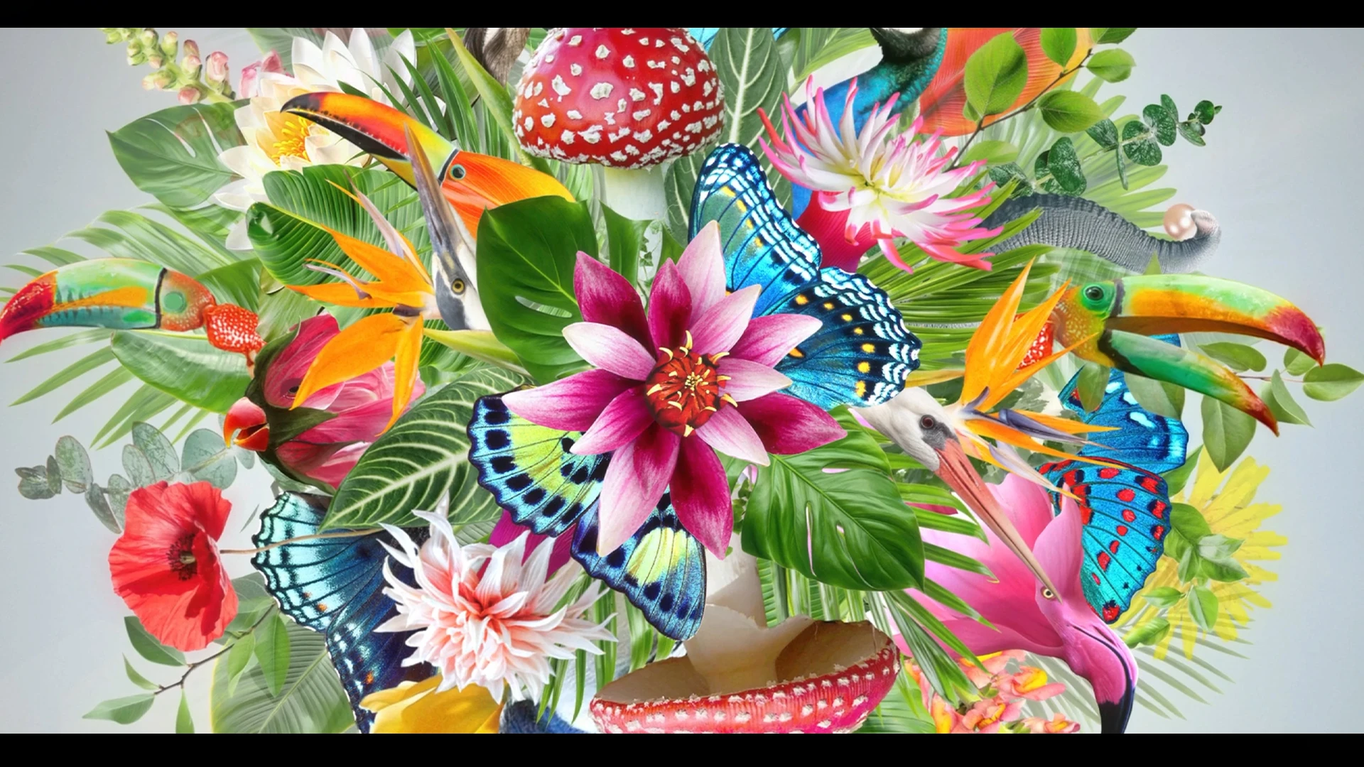 Motion Design & Art Direction - Bild 4