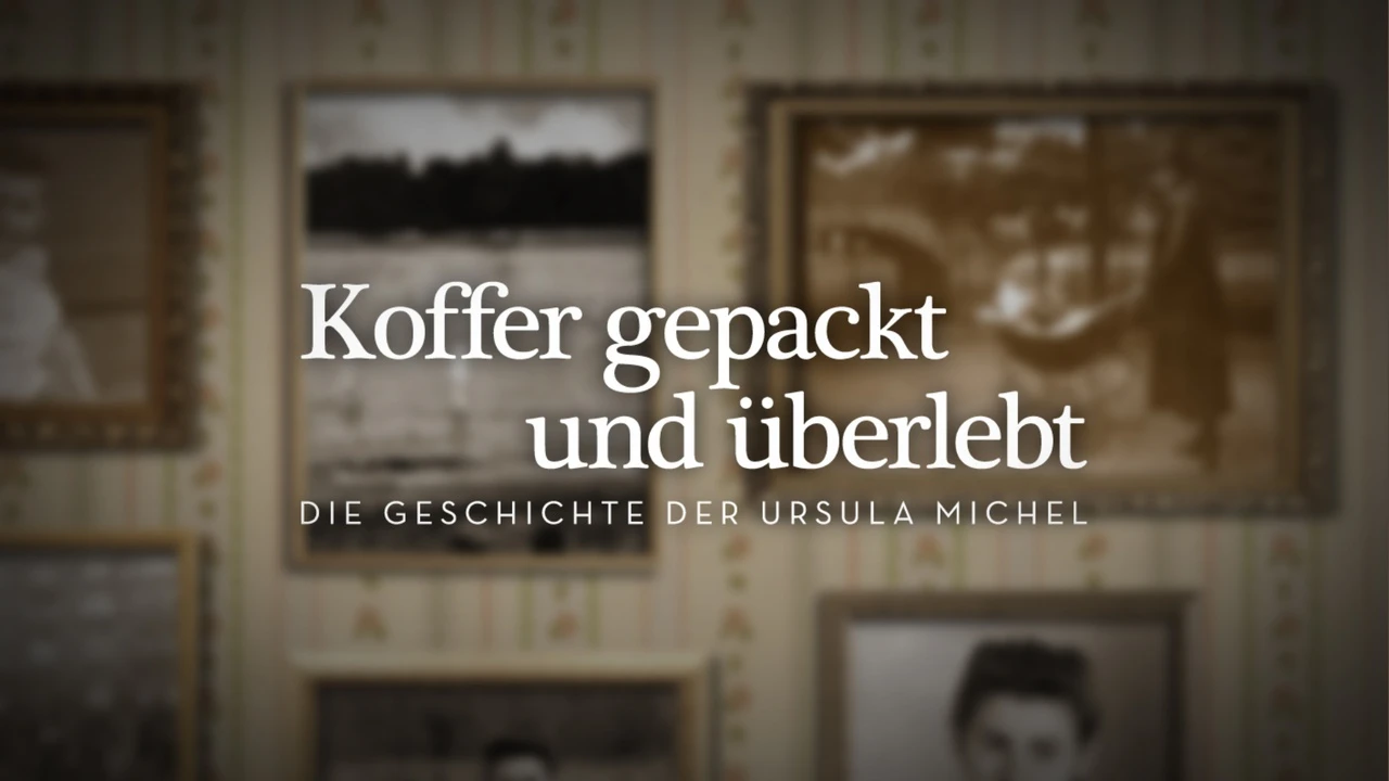 Calimedia - Bild 5