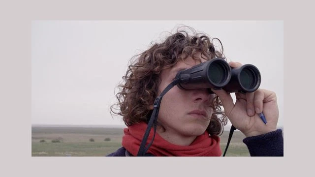 Filmredaktion 3sat im ZDF