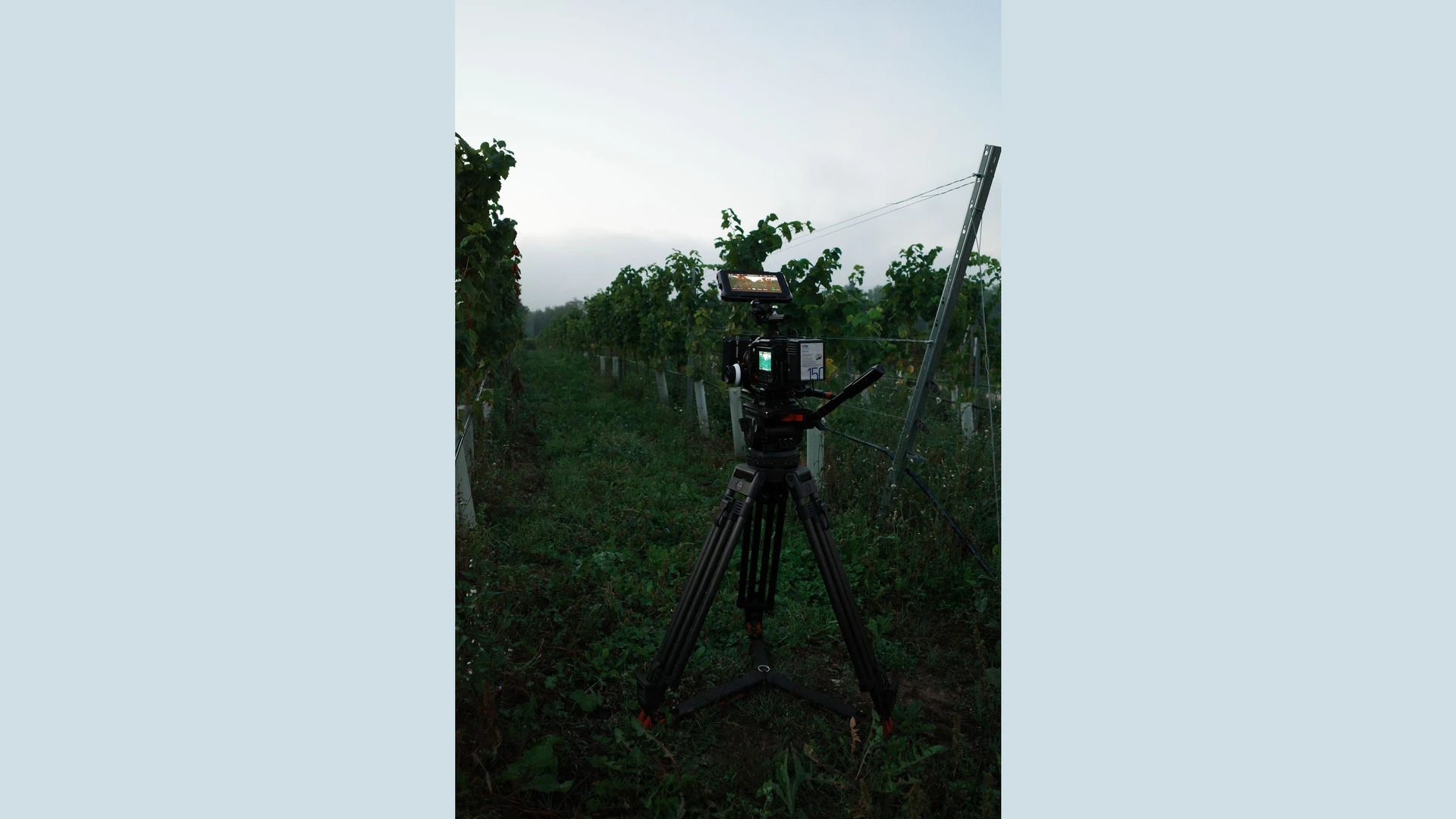 Kingfisher Films | Boutique Medienproduktion - Bild 15