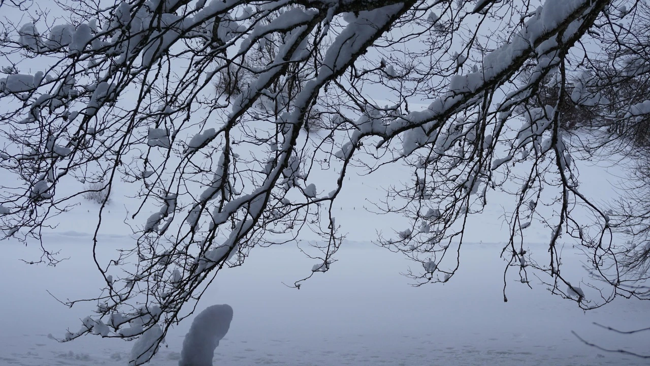 Kunst - Projekte  - Bild 8