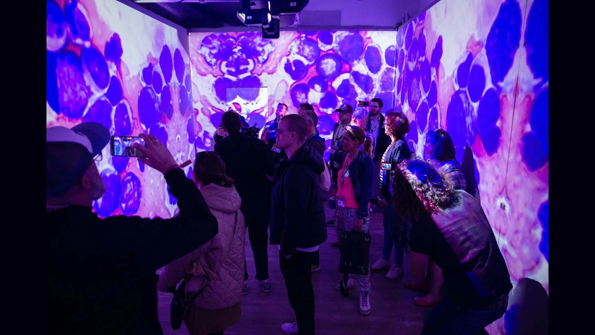 MediaApes GmbH - Bild 6