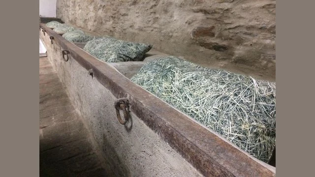 Modernes Büro / Atelier / Designstudio in einem alten Kuhstall