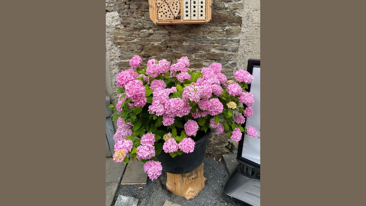 Modernes Büro / Atelier / Designstudio in einem alten Kuhstall - Bild 5