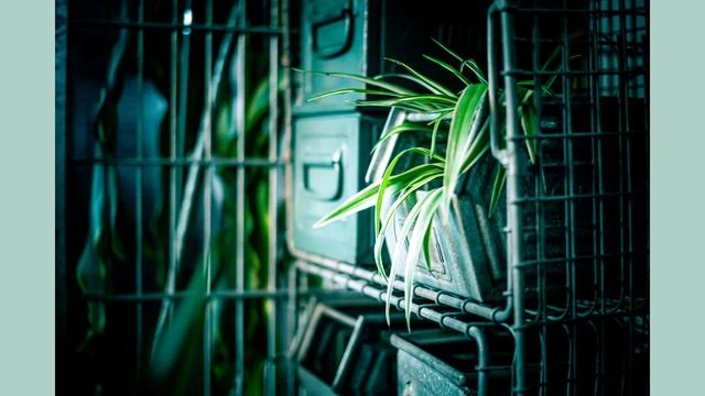 Mietstudio Vintagehalle Industriehalle Ingelheim am Rhein 