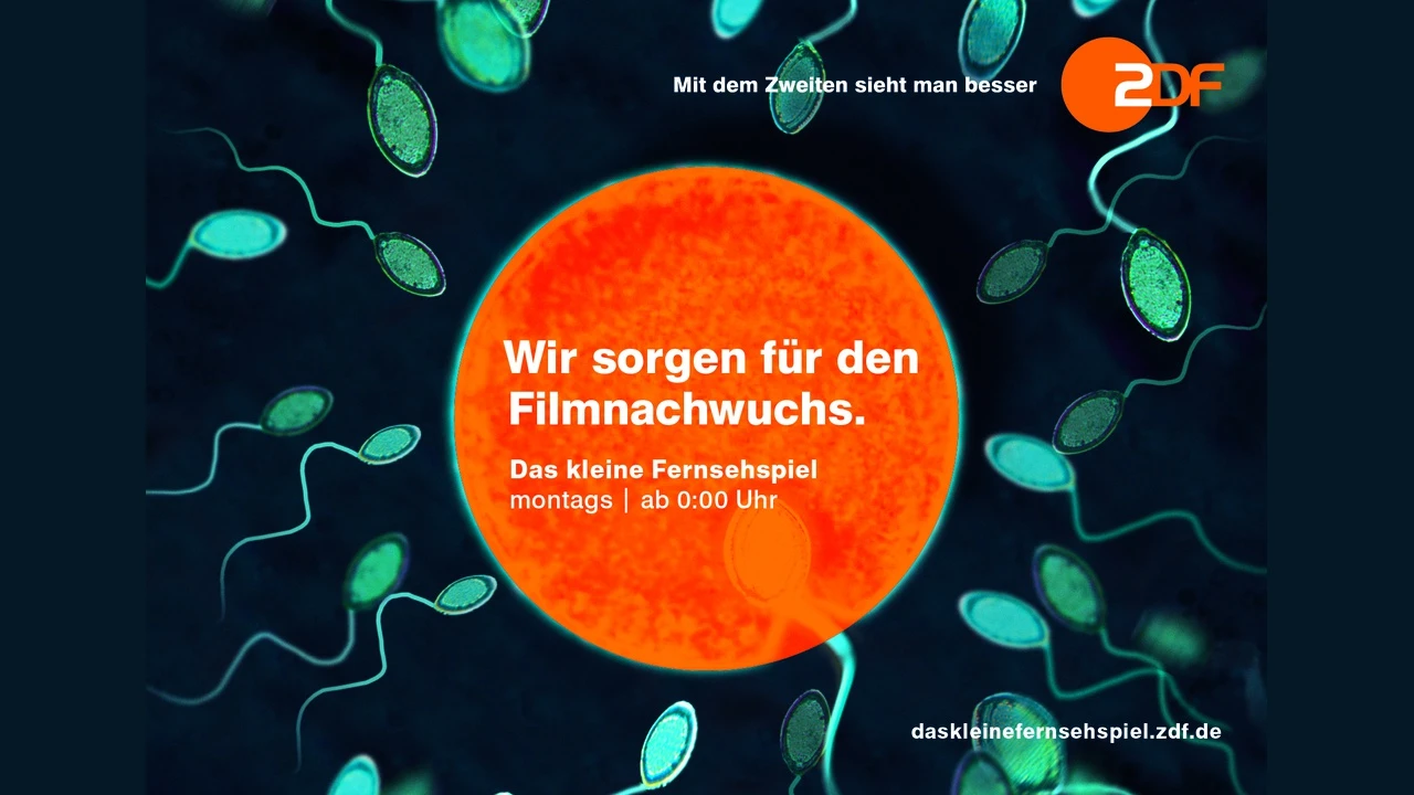 ZDF/Das kleine Fernsehspiel - Bild 2