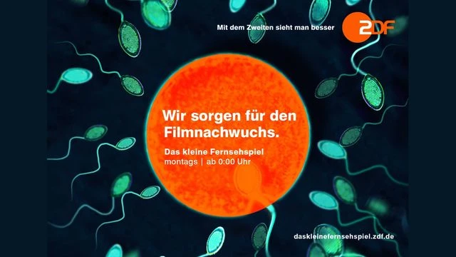 ZDF/Das kleine Fernsehspiel